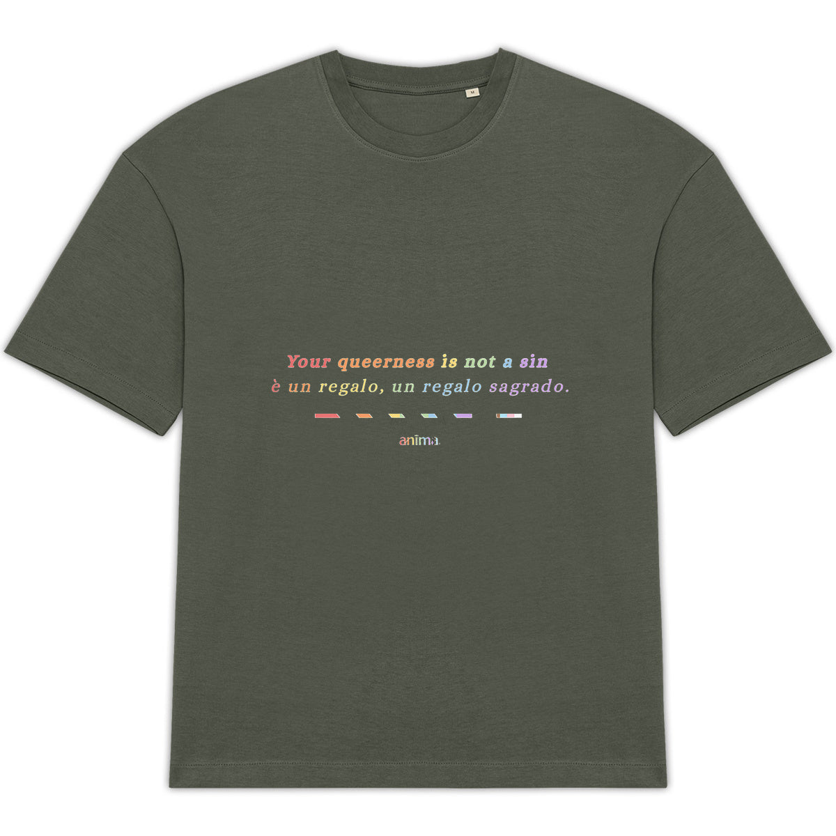 anima pride oversized tee