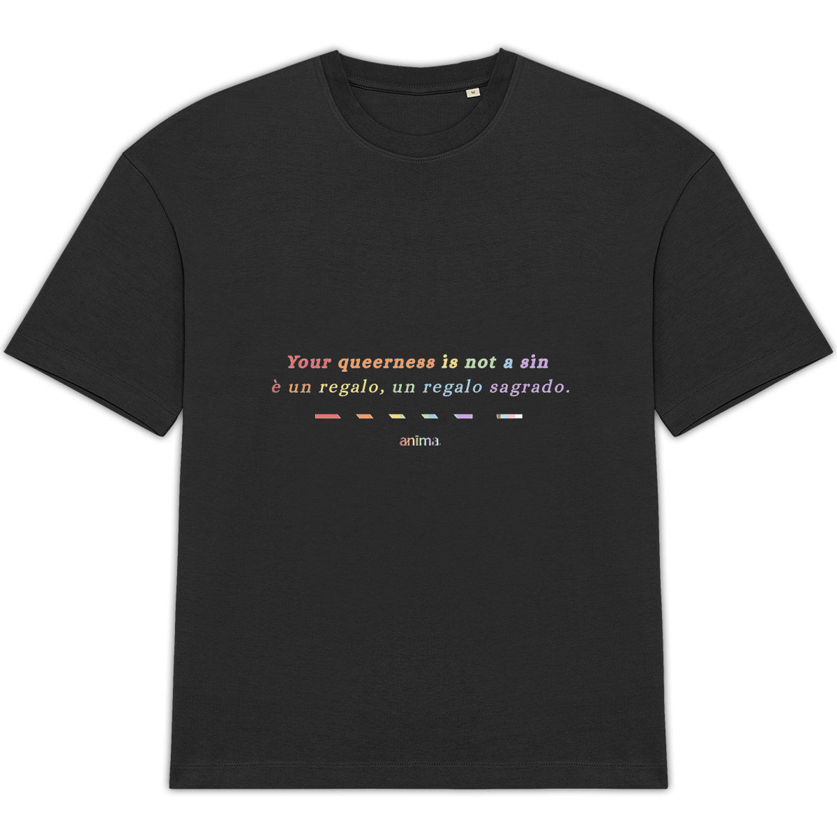 anima pride oversized tee