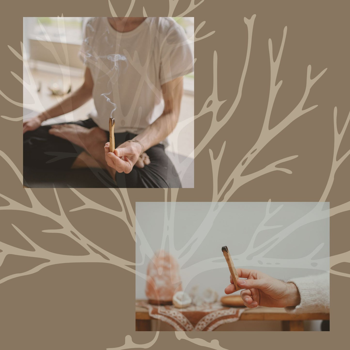 premium palo santo sticks [4]