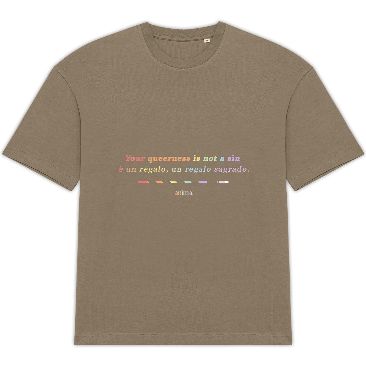 anima pride oversized tee
