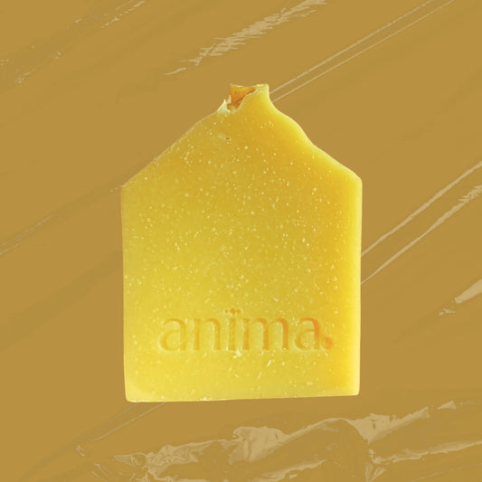anima santo bar